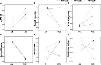 The Specific Impact of Apolipoprotein E Epsilon 2 on Cognition and Brain Function in Cognitively Normal Elders and Mild Cognitive Impairment Patients